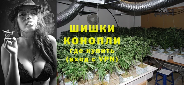 прущие грибы Зерноград