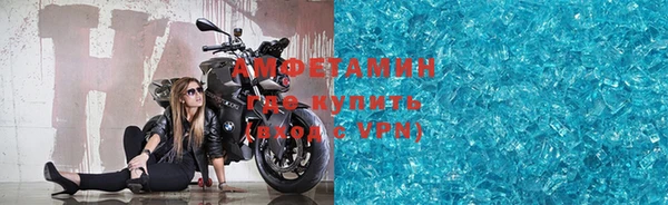 прущие грибы Зерноград
